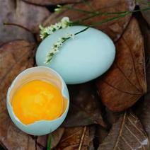 绿壳鸡蛋纯五谷杂粮散养翡翠绿有嚼劲，香气十足每天现捡现发