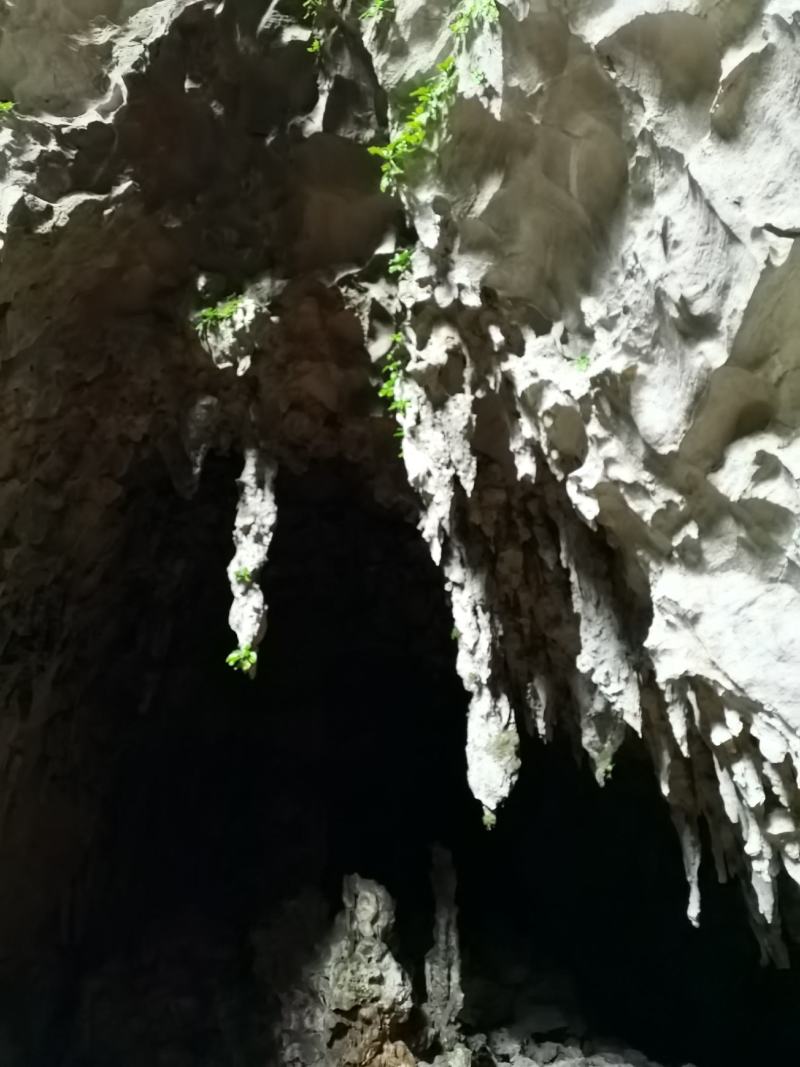石笋大瑶山里岩洞百年千年自然形成的石笋
