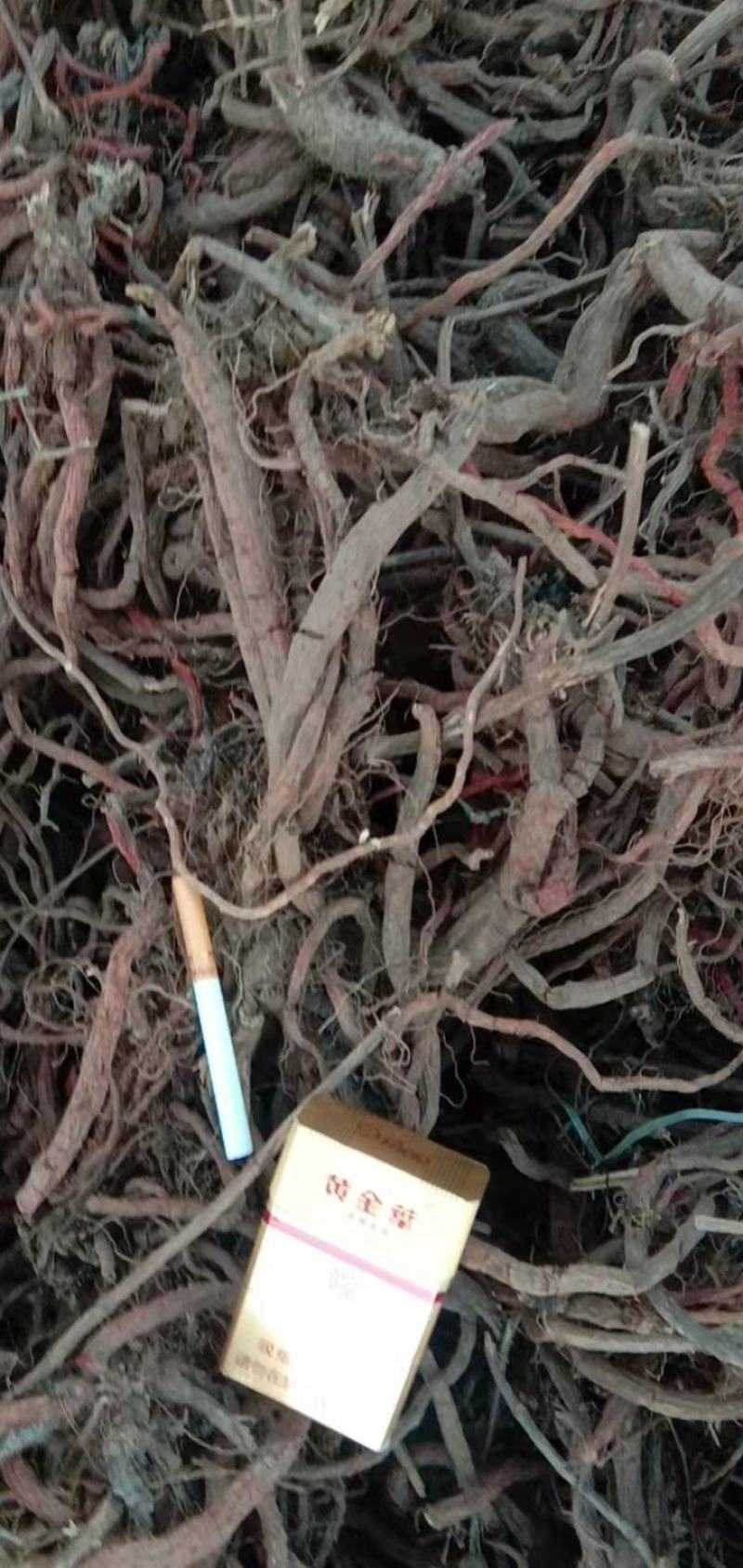 丹参，常年经营丹参个，各种规格都有，山东产地