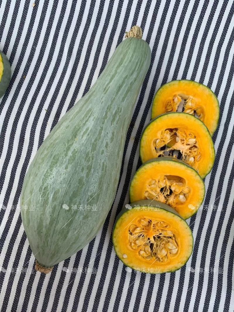卡其贵族南瓜种子板栗南瓜种子香甜味似板栗又胜似板栗甘面