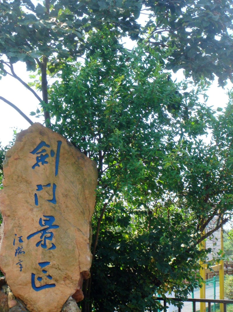 拐枣树