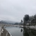 湖北清水生态鱼，，，