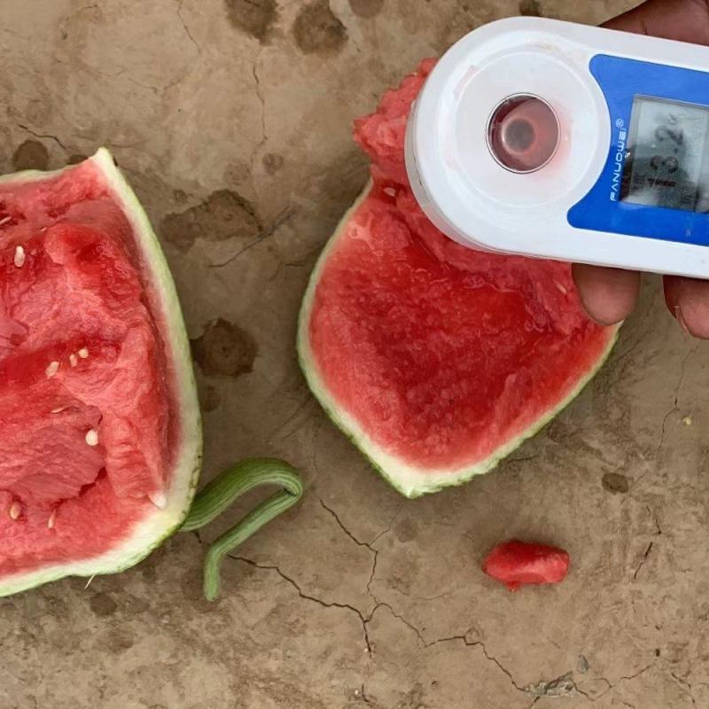 云南版纳麒麟西瓜，精品美都，产地批发，保证质量