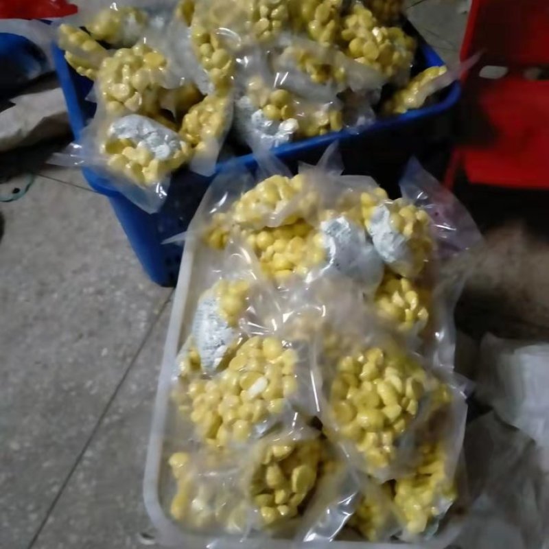 板栗仁