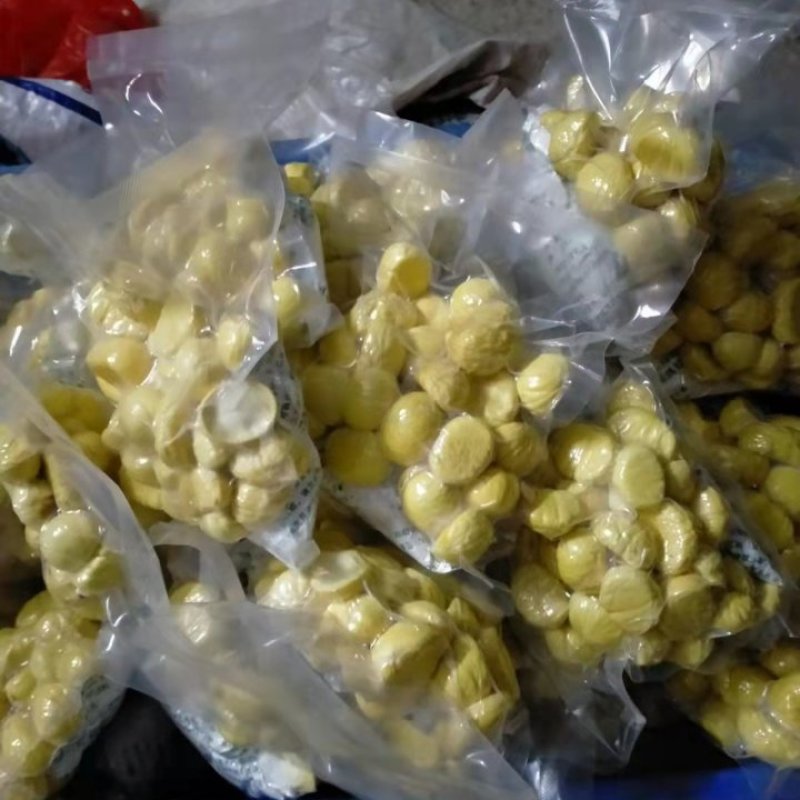 板栗仁