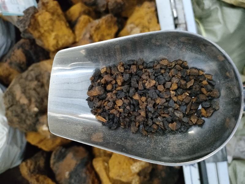 白桦树茸，又名桦褐孔菌被誉为天然胰岛素精品黑晶块
