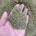 槐米槐花米颜色青货净。足斤足量纯无硫各种中药材批发