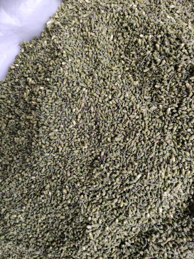 槐米槐花米颜色青货净。足斤足量纯无硫各种中药材批发