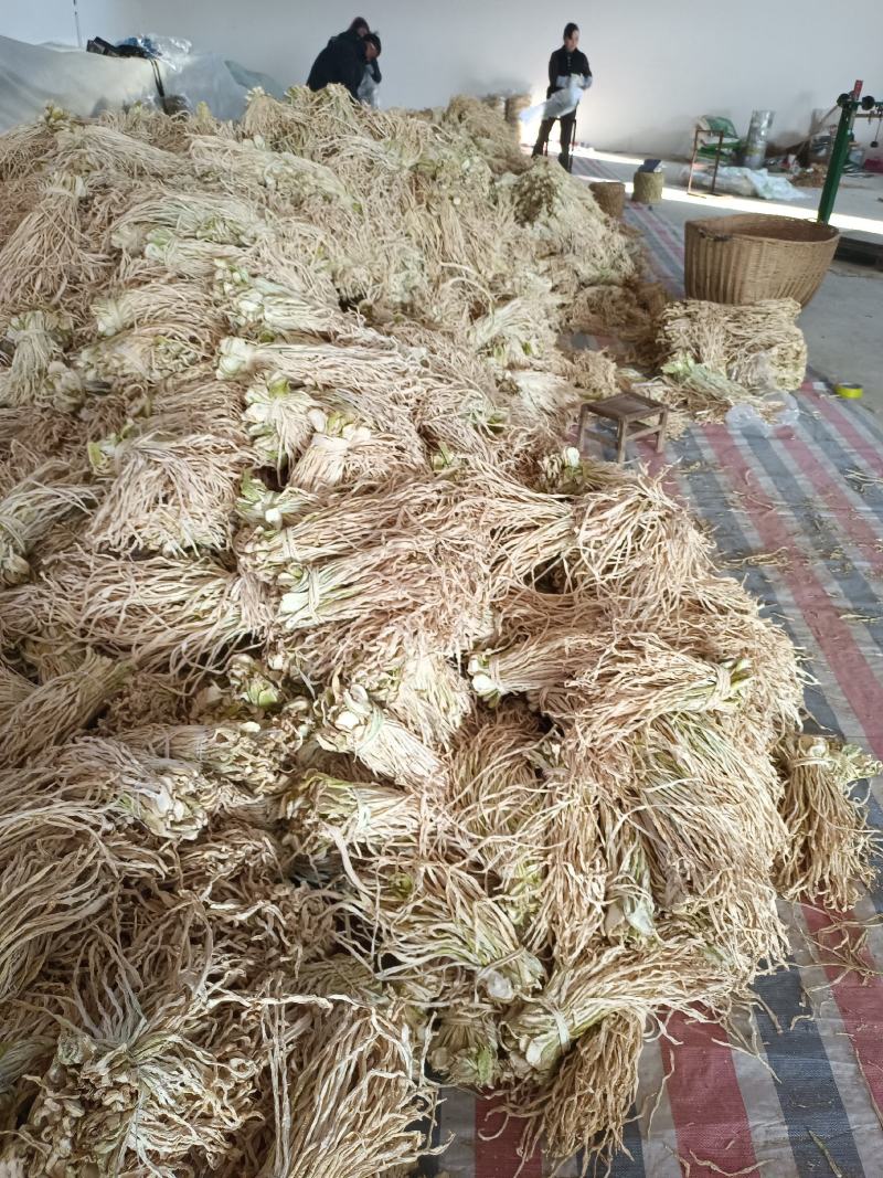 【萝卜干】小段店铺经营萝卜干，量大从优欢迎选购