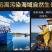 包邮）鲜活大海螺新鲜贝类海鲜水产鲜活4斤产地直发
