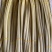 湖北藕带