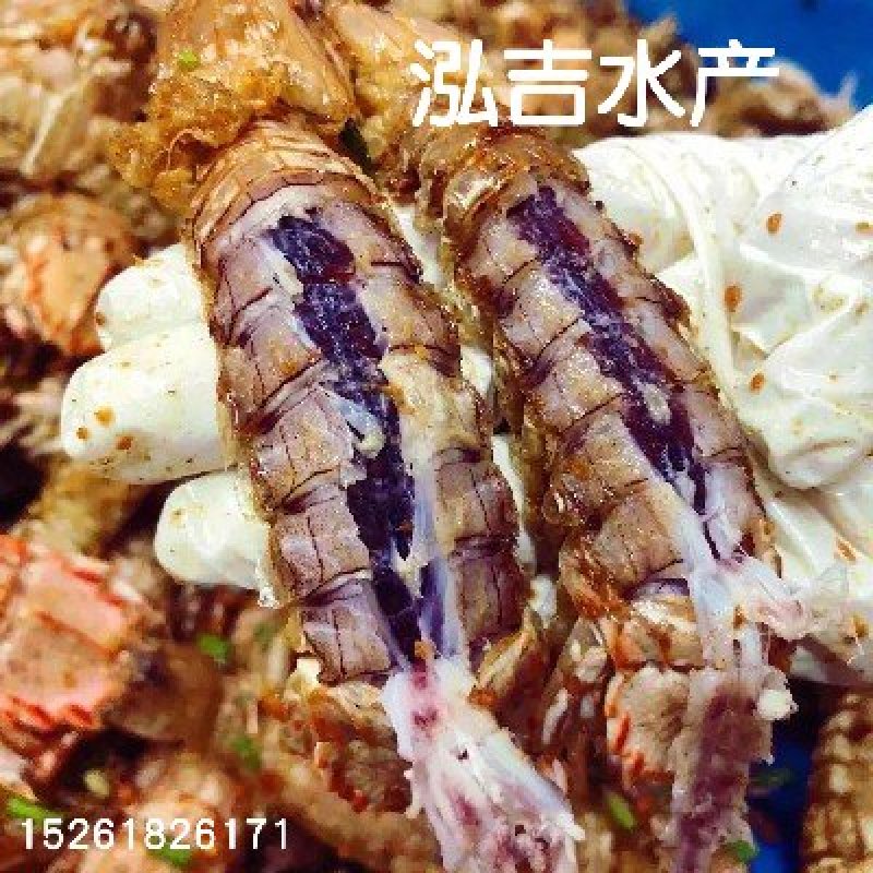 【带黄皮皮虾】带膏皮皮虾，母皮皮虾，虾爬子濑尿虾虾姑