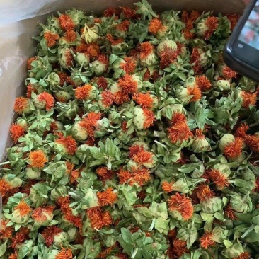 云南红花花，花红叶绿，江湖地摊，展会跑量产品，利润可观