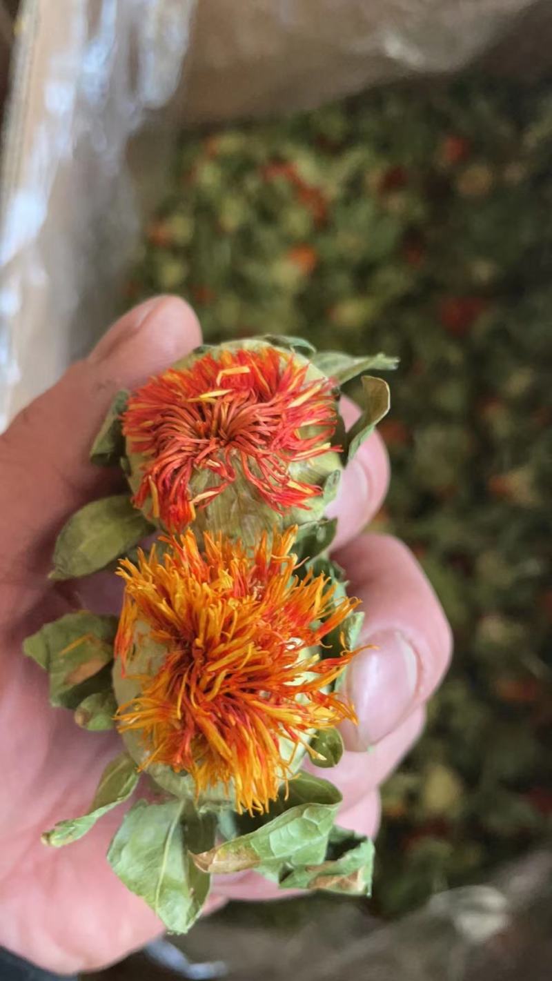 云南红花花，花红叶绿，江湖地摊，展会跑量产品，利润可观