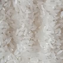 新糯米5斤新鲜长粒子米熬粥做饭团密糍耙米包邮非普通大米