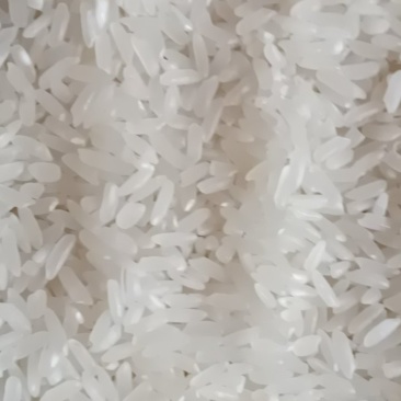 新糯米5斤新鲜长粒子米熬粥做饭团密糍耙米包邮非普通大米