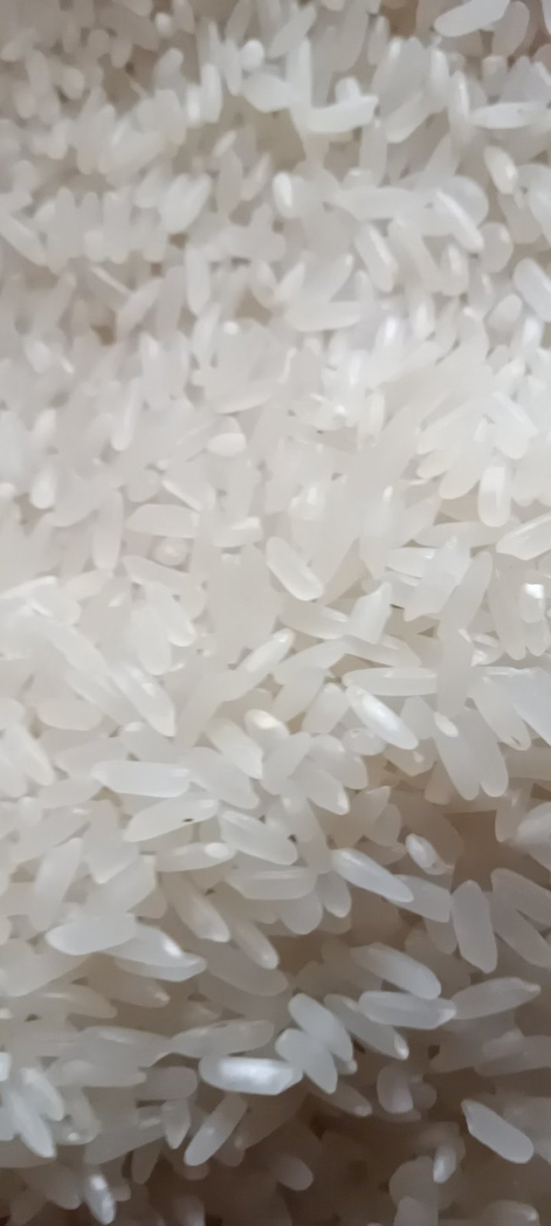 新糯米5斤新鲜长粒子米熬粥做饭团密糍耙米包邮非普通大米