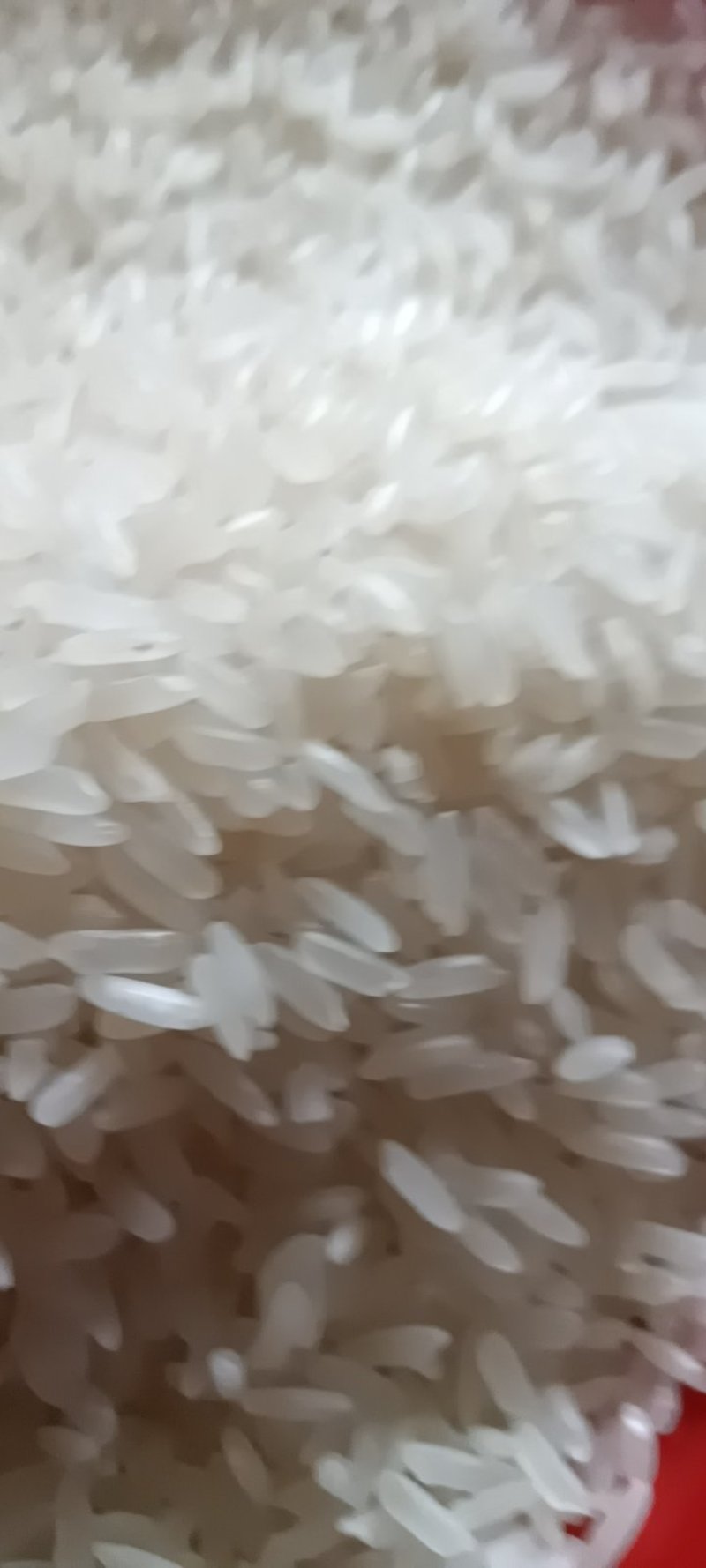 新糯米5斤新鲜长粒子米熬粥做饭团密糍耙米包邮非普通大米