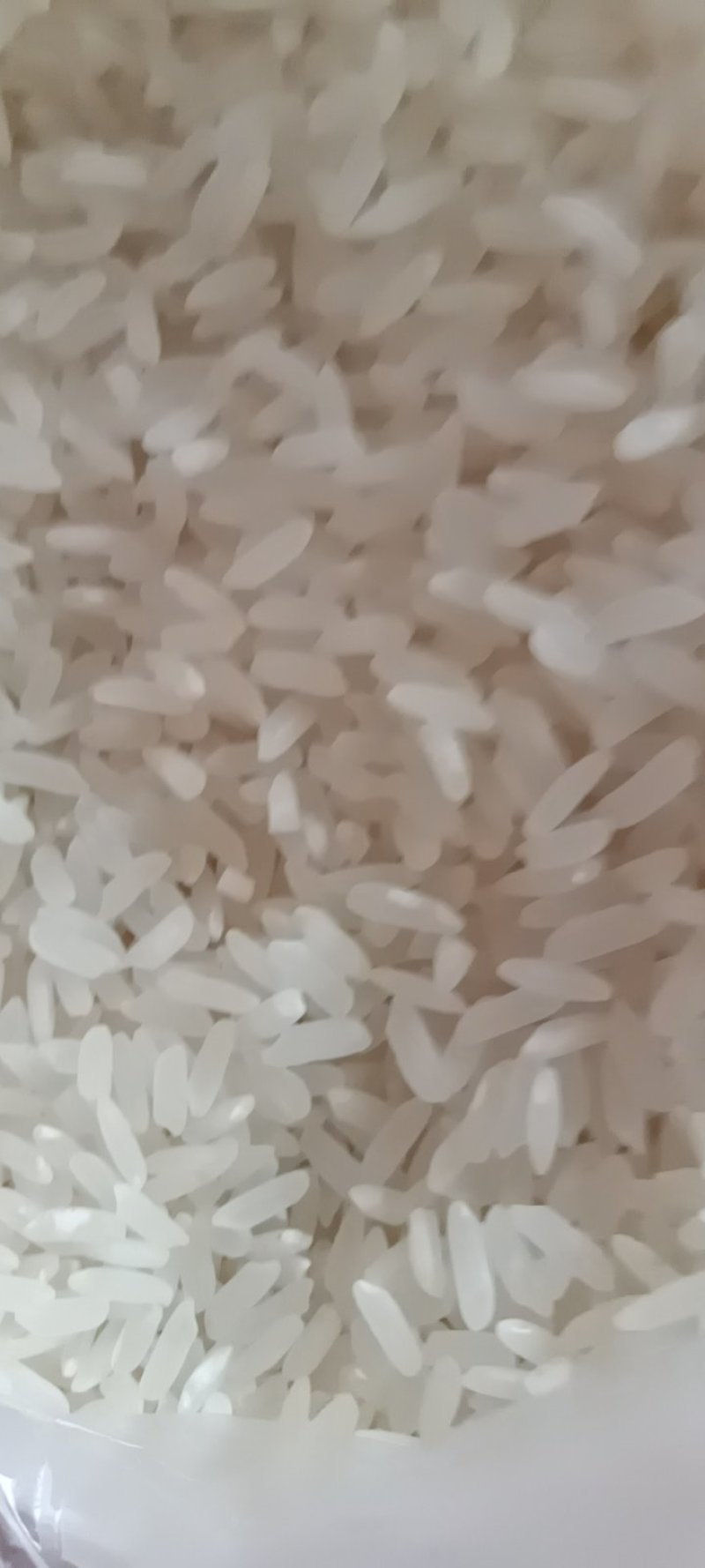 新糯米5斤新鲜长粒子米熬粥做饭团密糍耙米包邮非普通大米