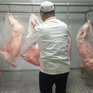 牛肉，鲜牛肉。