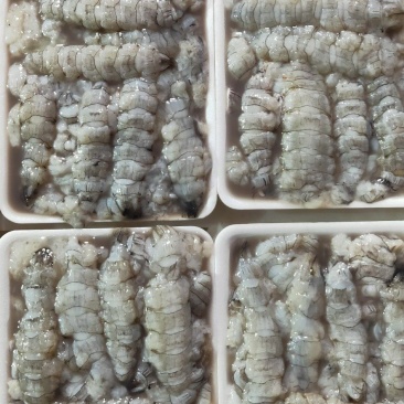 【皮皮虾肉】虾爬子肉新鲜现拨皮皮虾肉生冻虾爬子肉皮皮虾肉