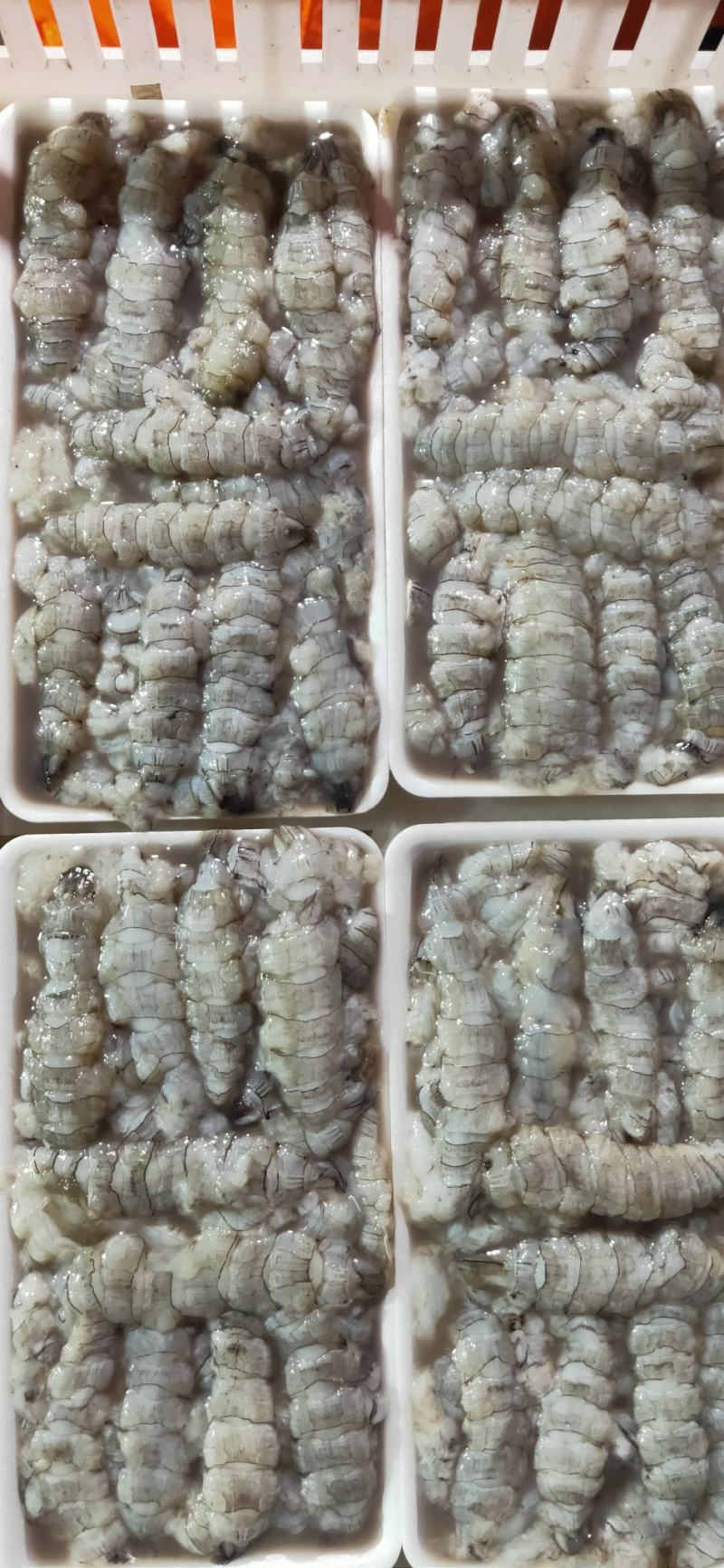 【皮皮虾肉】虾爬子肉新鲜现拨皮皮虾肉生冻虾爬子肉皮皮虾肉