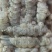 【皮皮虾肉】虾爬子肉新鲜现拨皮皮虾肉生冻虾爬子肉皮皮虾肉