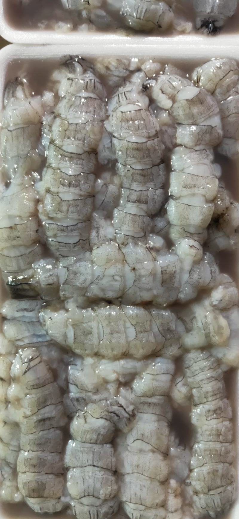 【皮皮虾肉】虾爬子肉新鲜现拨皮皮虾肉生冻虾爬子肉皮皮虾肉