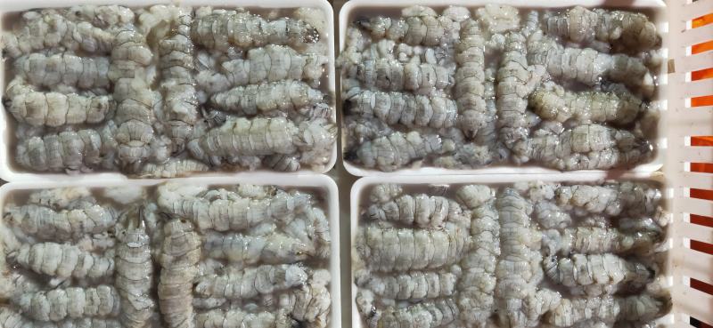 【皮皮虾肉】虾爬子肉新鲜现拨皮皮虾肉生冻虾爬子肉皮皮虾肉