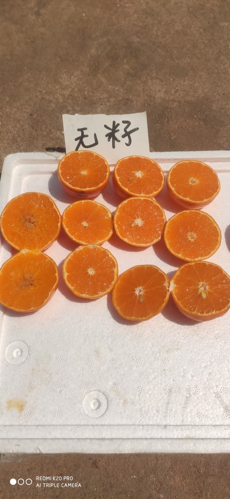 云南哀牢山️无籽沃柑每个馋嘴的日子，备上几个沃柑