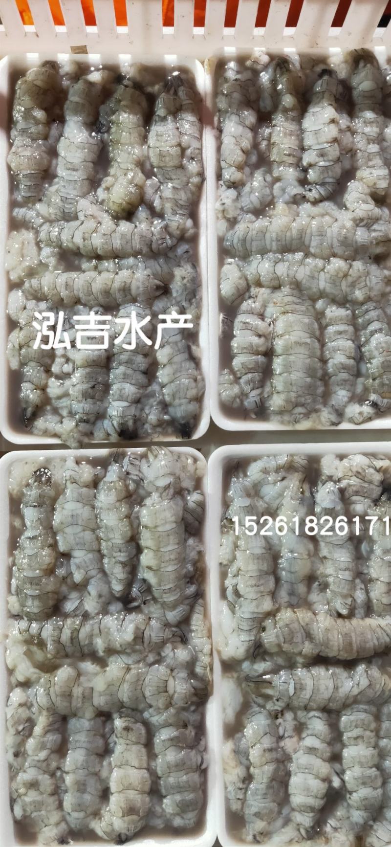 【皮皮虾肉】虾爬子肉新鲜现拨皮皮虾肉生冻虾爬子肉皮皮虾肉