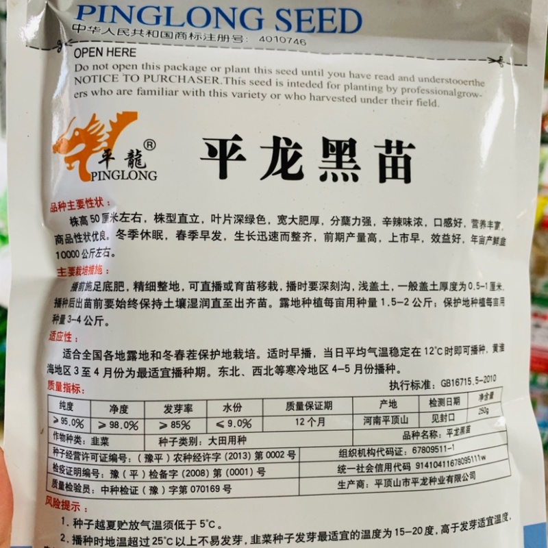 冬季休眠韭菜种子上市早春季早发平龙黑苗韭菜种子叶宽肥厚