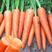 精品胡萝卜，产地三红胡萝卜保质保量，欢迎订购。