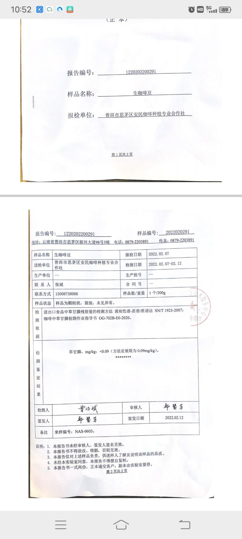 阿拉比卡豆云南小粒咖啡生豆原料可提供产地检测报告