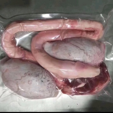 滋补牛鞭宝整套新鲜速冻,好东西价不高,一件起发。
