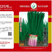 高品质紫根韭菜种子，露地种植，辛香味浓，抗病虫害，少量货