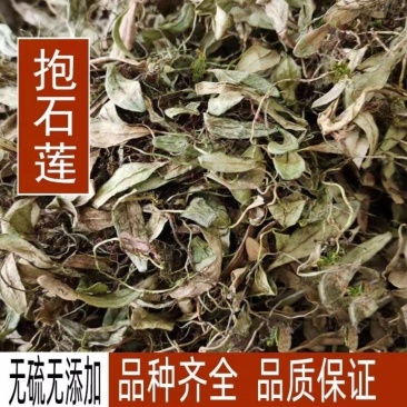 抱石莲，抱树莲，产地直供道地药材，药典标准一公斤起批