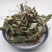 抱石莲，抱树莲，产地直供道地药材，药典标准一公斤起批