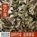 抱石莲，抱树莲，产地直供道地药材，药典标准一公斤起批