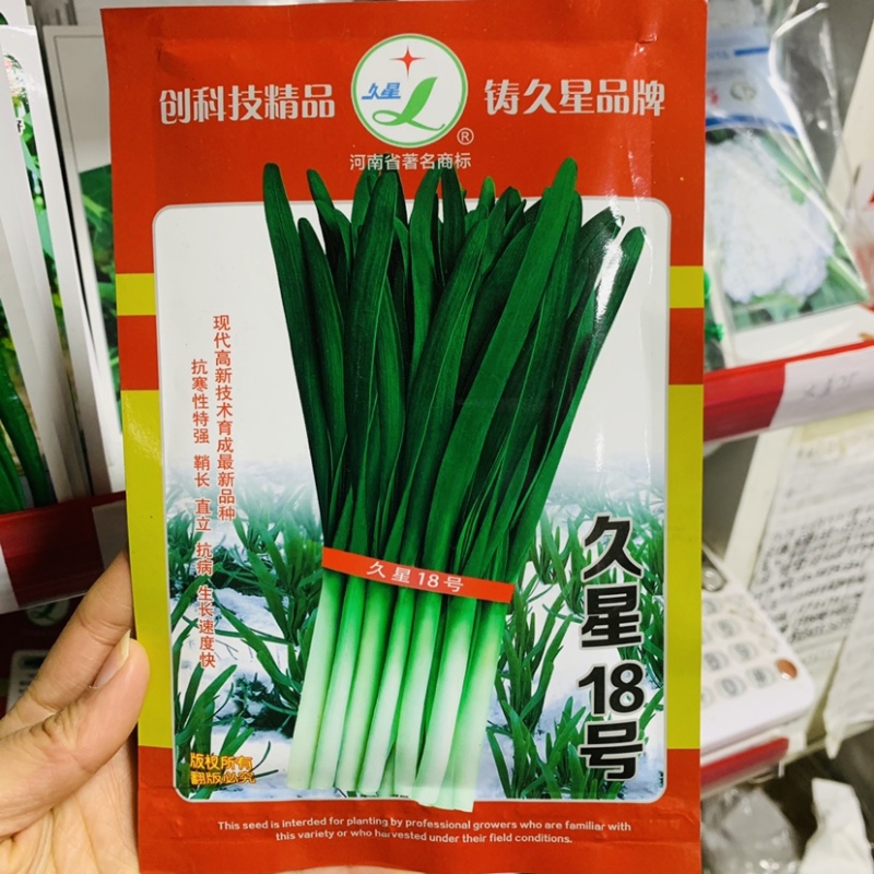久星18号韭菜种子抗寒性特强鞘长不休眠韭菜种籽辛香味浓