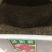 波斯菊花种子格桑花种籽子春夏开花易活花籽庭院四季野花组合