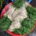 贵州新鲜现挖野葱苦蒜带叶带须野农家胡葱沙葱野菜非藠头野菜