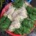 贵州新鲜现挖野葱苦蒜带叶带须野农家胡葱沙葱野菜非藠头野菜