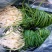 贵州新鲜现挖野葱苦蒜带叶带须野农家胡葱沙葱野菜非藠头野菜