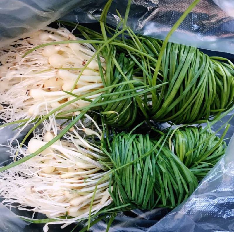 贵州新鲜现挖野葱苦蒜带叶带须野农家胡葱沙葱野菜非藠头野菜