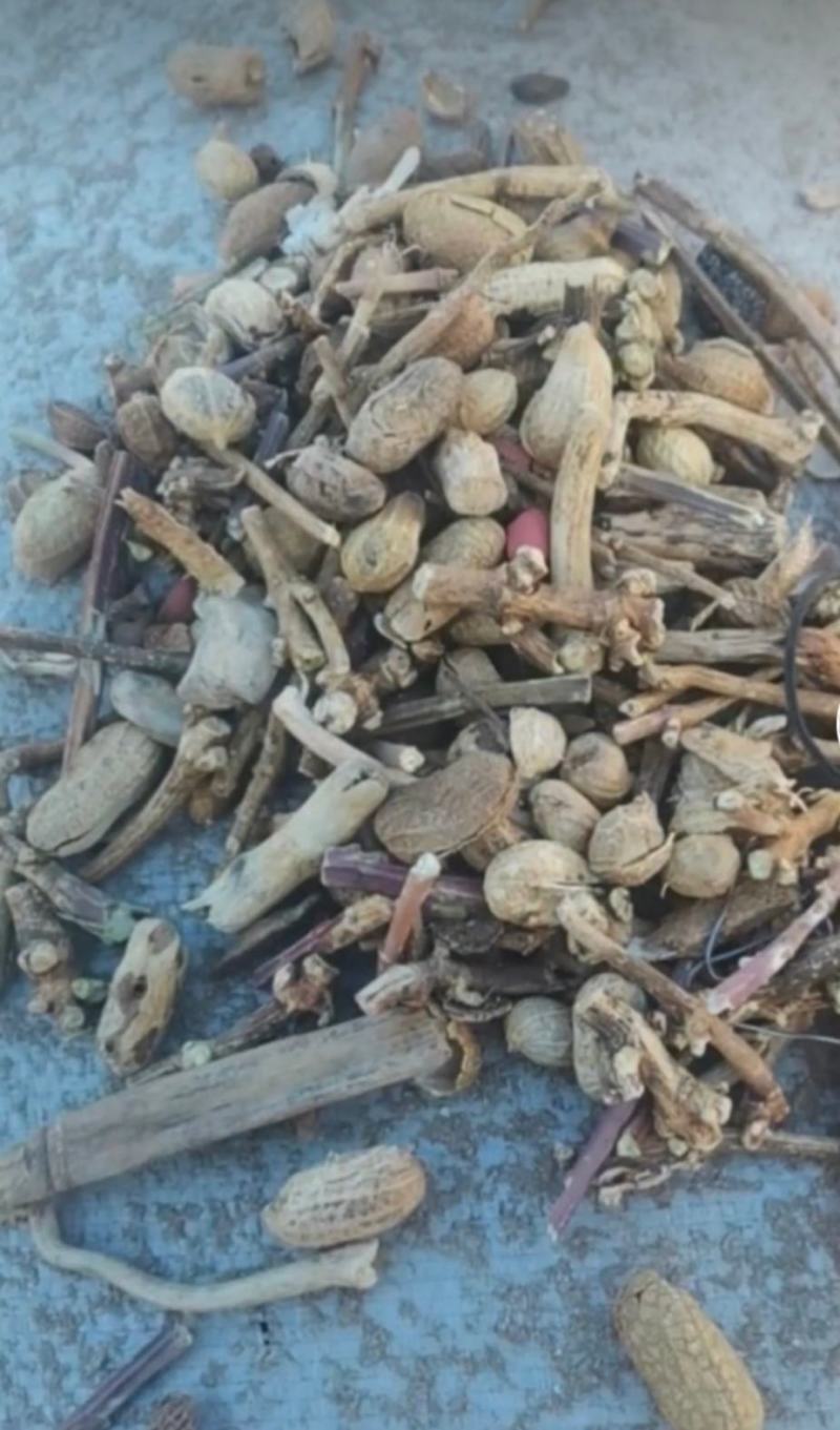 花生秧常年出售羊料牛料花生秧保证质量