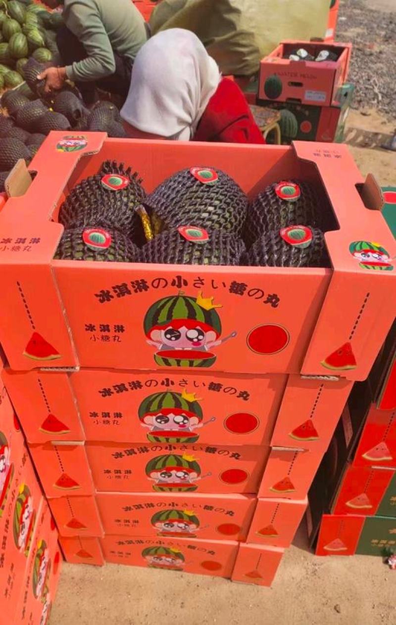 山东2K小吊瓜早春红玉小糖丸西瓜，熟度好甜度高，产地直发