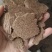 本公司常年出售菜籽饼质量保证做肥料饲料都
