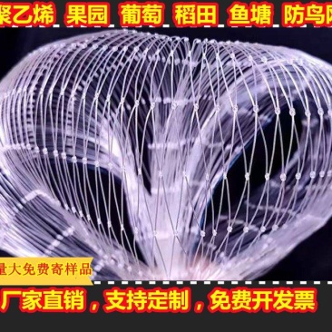 果园防鸟网防鸟神器果树防鸟网葡萄网樱桃尼龙防鸟网鱼塘养殖