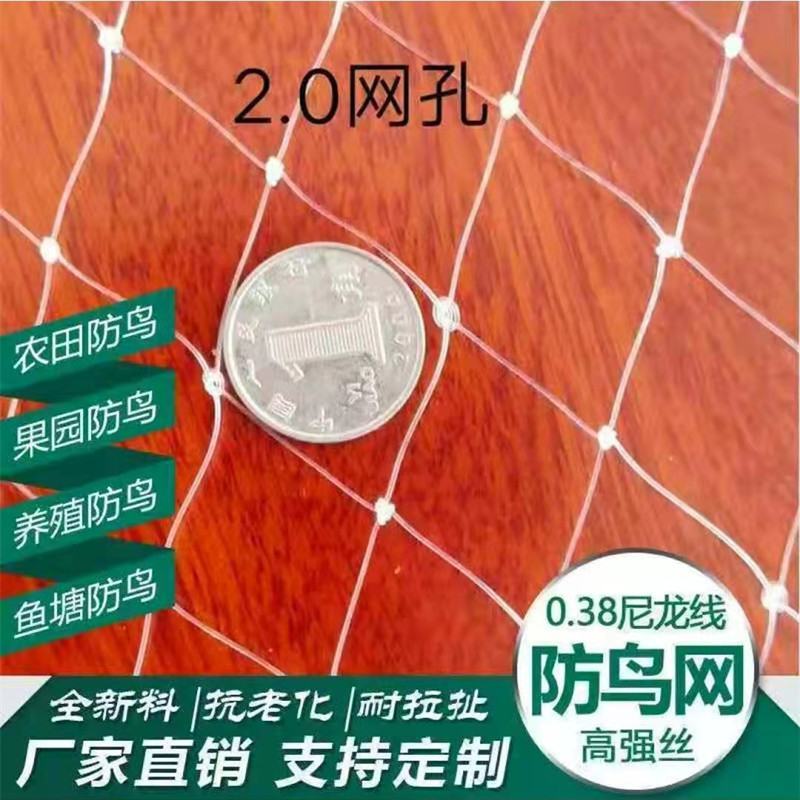 果园防鸟网防鸟神器果树防鸟网葡萄网樱桃尼龙防鸟网鱼塘养殖